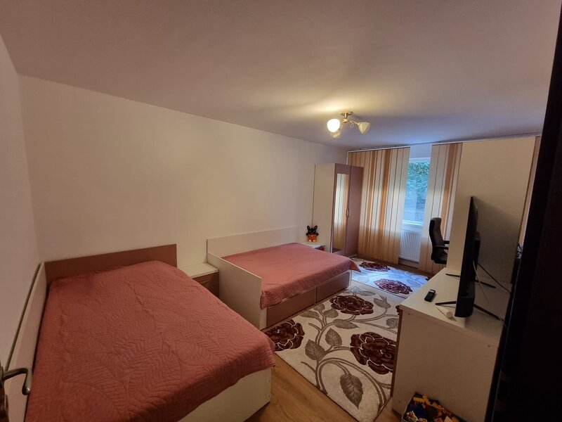 Dristor, Nicolae Grigorescu, Fizicienilor Ocazie