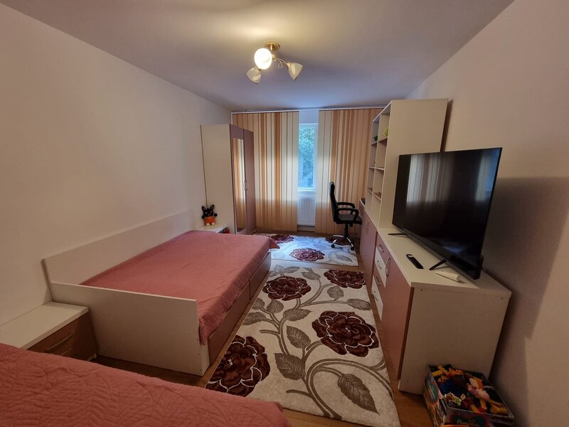 Dristor, Nicolae Grigorescu, Fizicienilor Ocazie