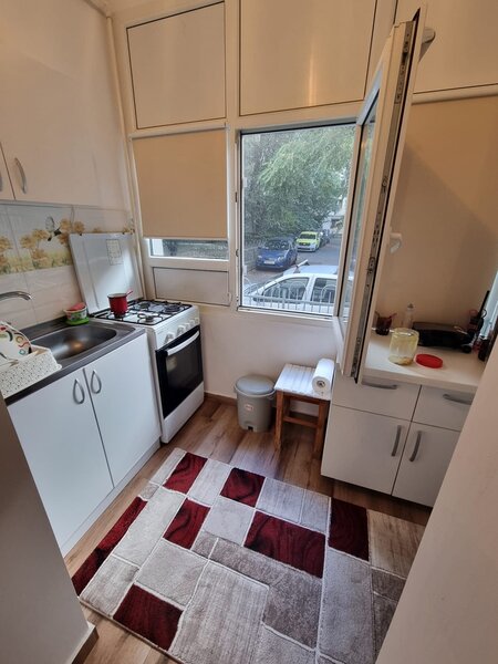 Dristor, Nicolae Grigorescu, Fizicienilor Ocazie