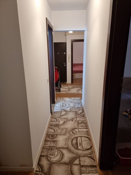 Dristor, Nicolae Grigorescu, Fizicienilor Ocazie