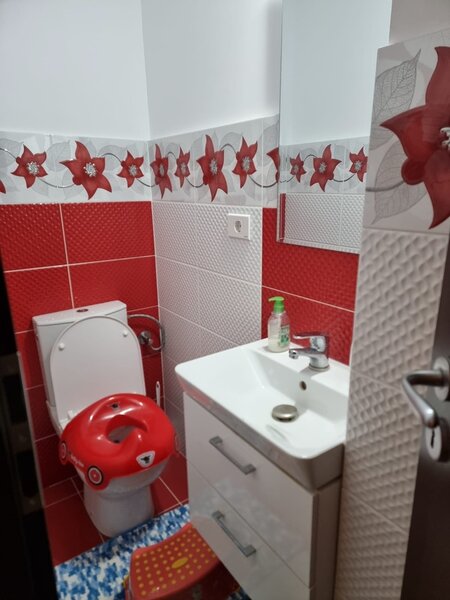 Dristor, Nicolae Grigorescu, Fizicienilor Ocazie